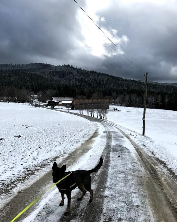 Zum Oedbauern